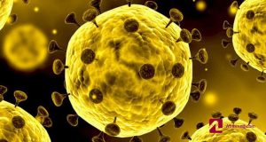 ویروس خطرناک کرونا (1)
